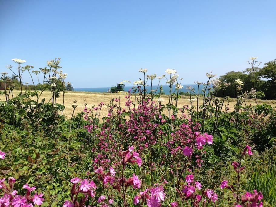 Little Bream - Pretty Cosy Cottage, Sea Views, Walk To The Beach Mawnan Smith Екстериор снимка